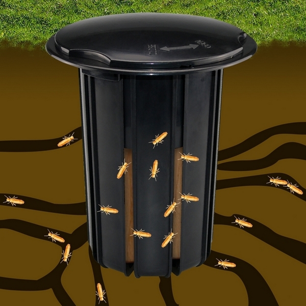 Cebos para  termitas