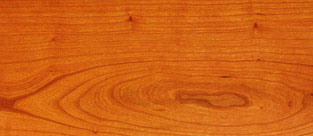 Tipos de madera: propiedades y usos