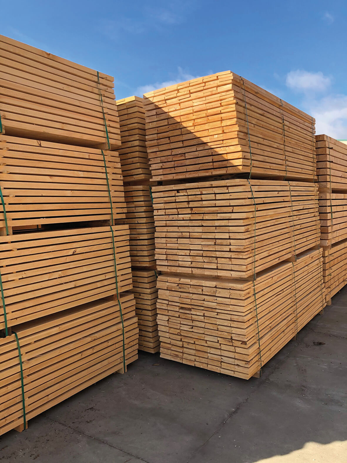 Manteniendo el valor de su madera – ANTIBLU SELECT 3787