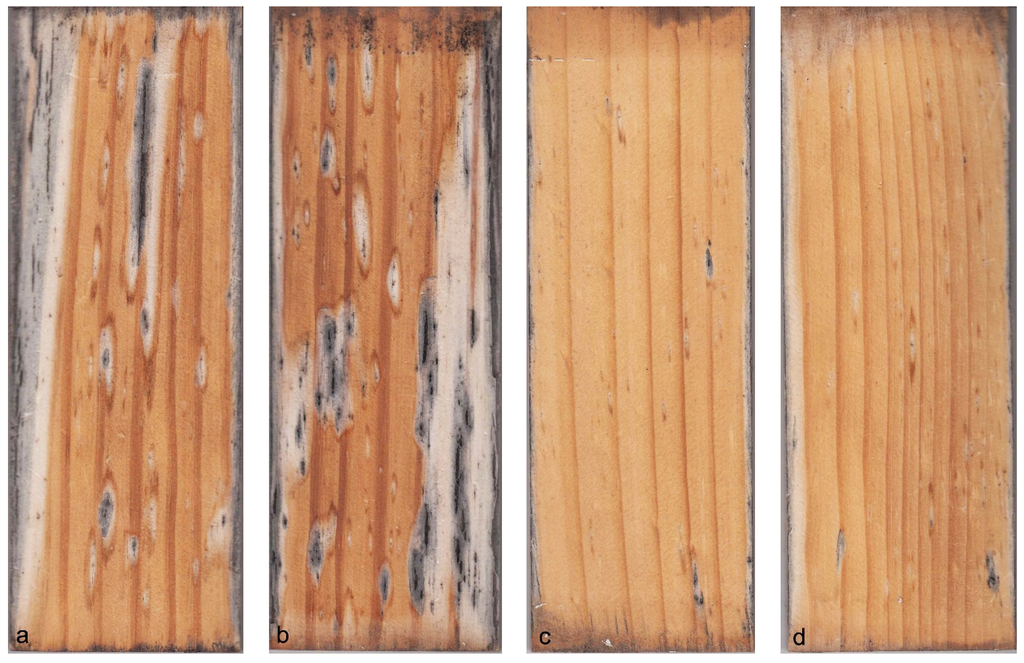 Propiedades en la superficie de los revestimientos de madera para exteriores