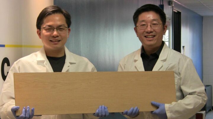 Científicos han desarrollado una forma de hacer que la madera sea tan fuerte como el acero